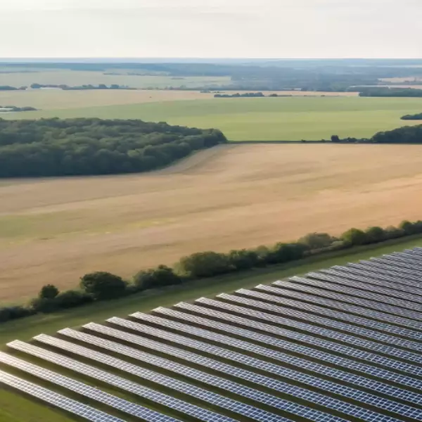 Large-scale solar field